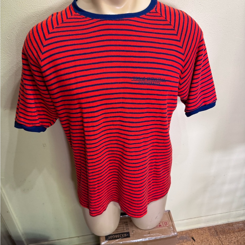 Red and Blue Striped Men's Shirt